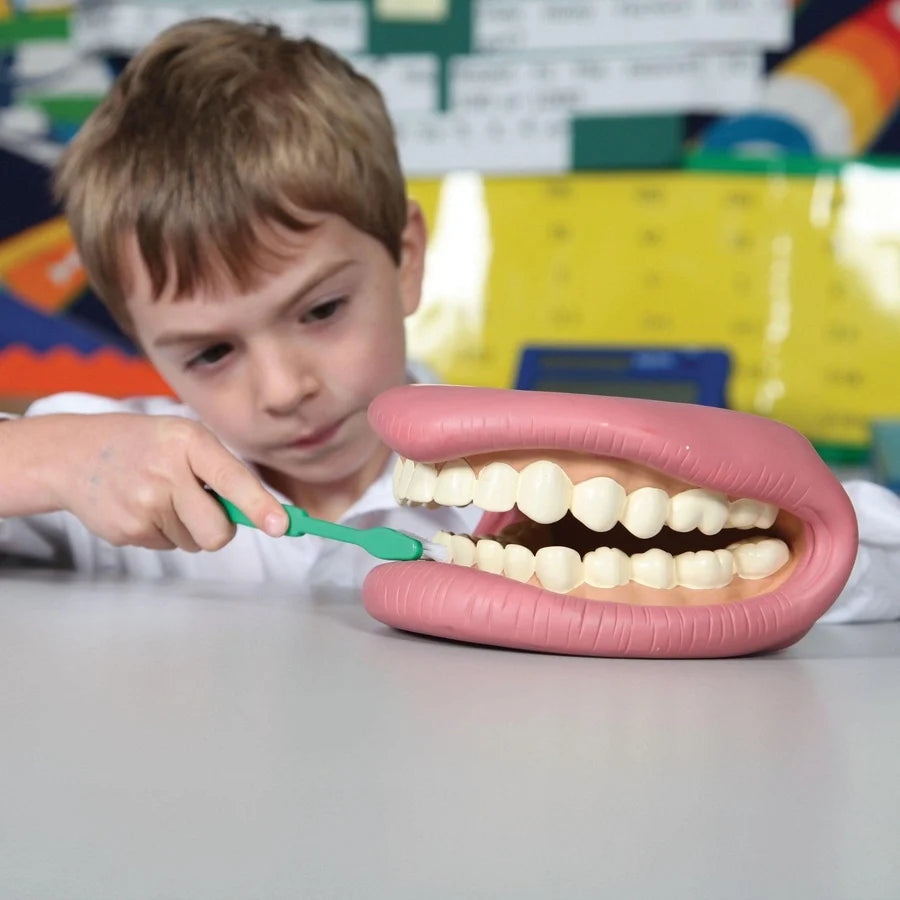 Pink giant teeth dental model mouth with off-white teeth and green toothbrush handle