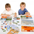 Animal habitats board game with illustrated habitat cards and pieces on a tabletop