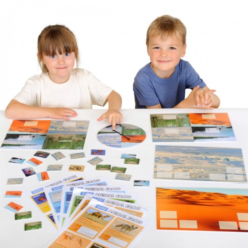 Animal habitats board game with illustrated habitat cards and pieces on a tabletop