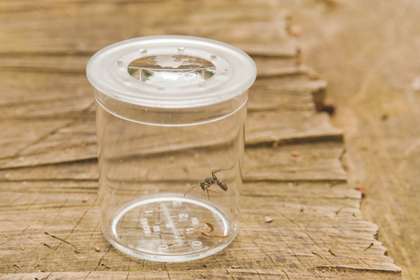 Clear plastic magnifier cup-style hand lens with round viewing lens on tabletop