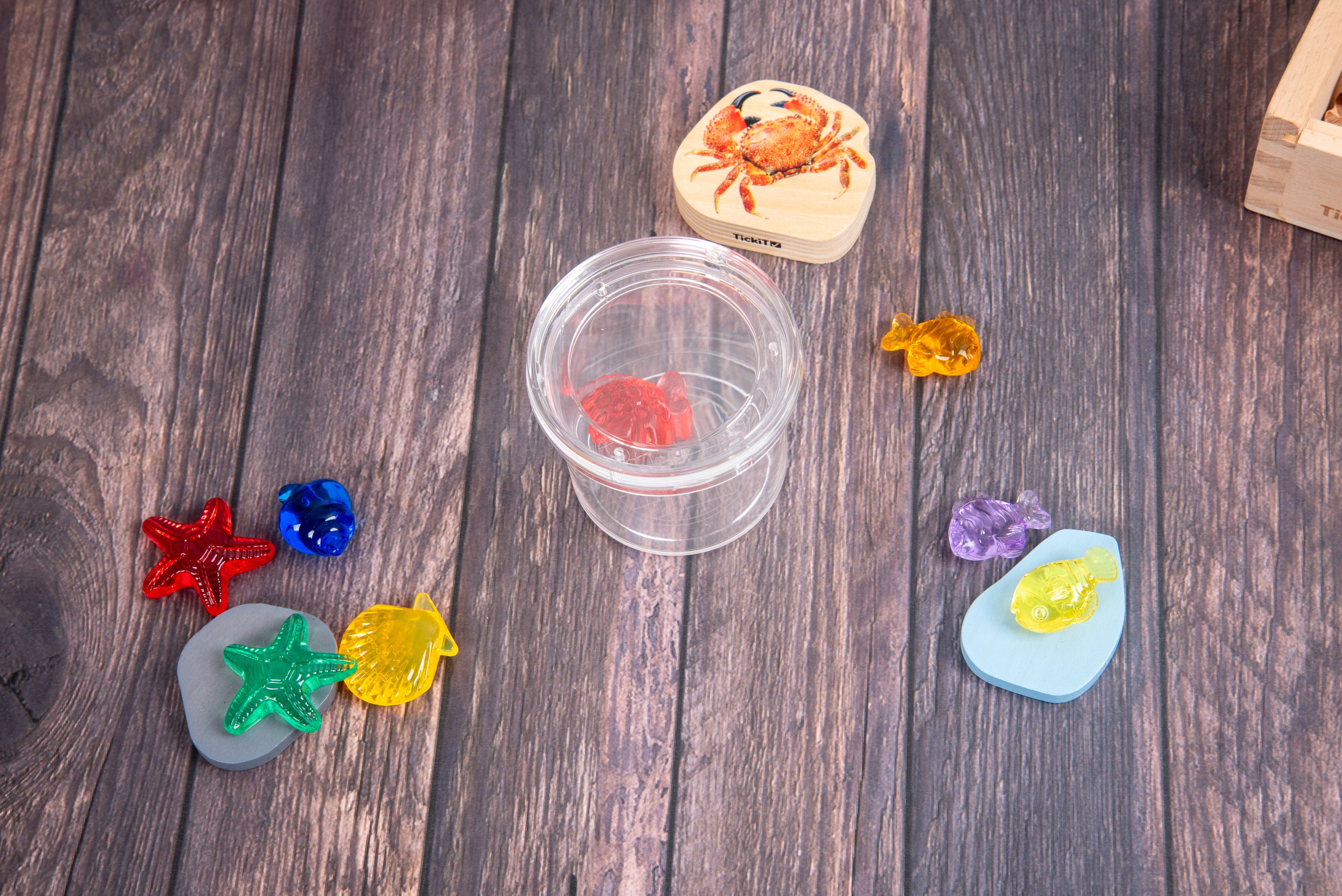 Clear bug viewer with lid near colorful plastic bugs and small round pieces