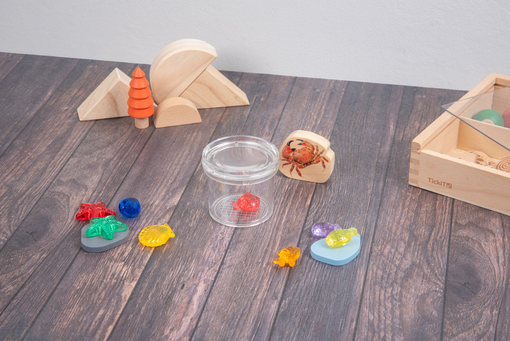 Bug viewing kit: clear container, colored plastic bugs, small wooden pieces