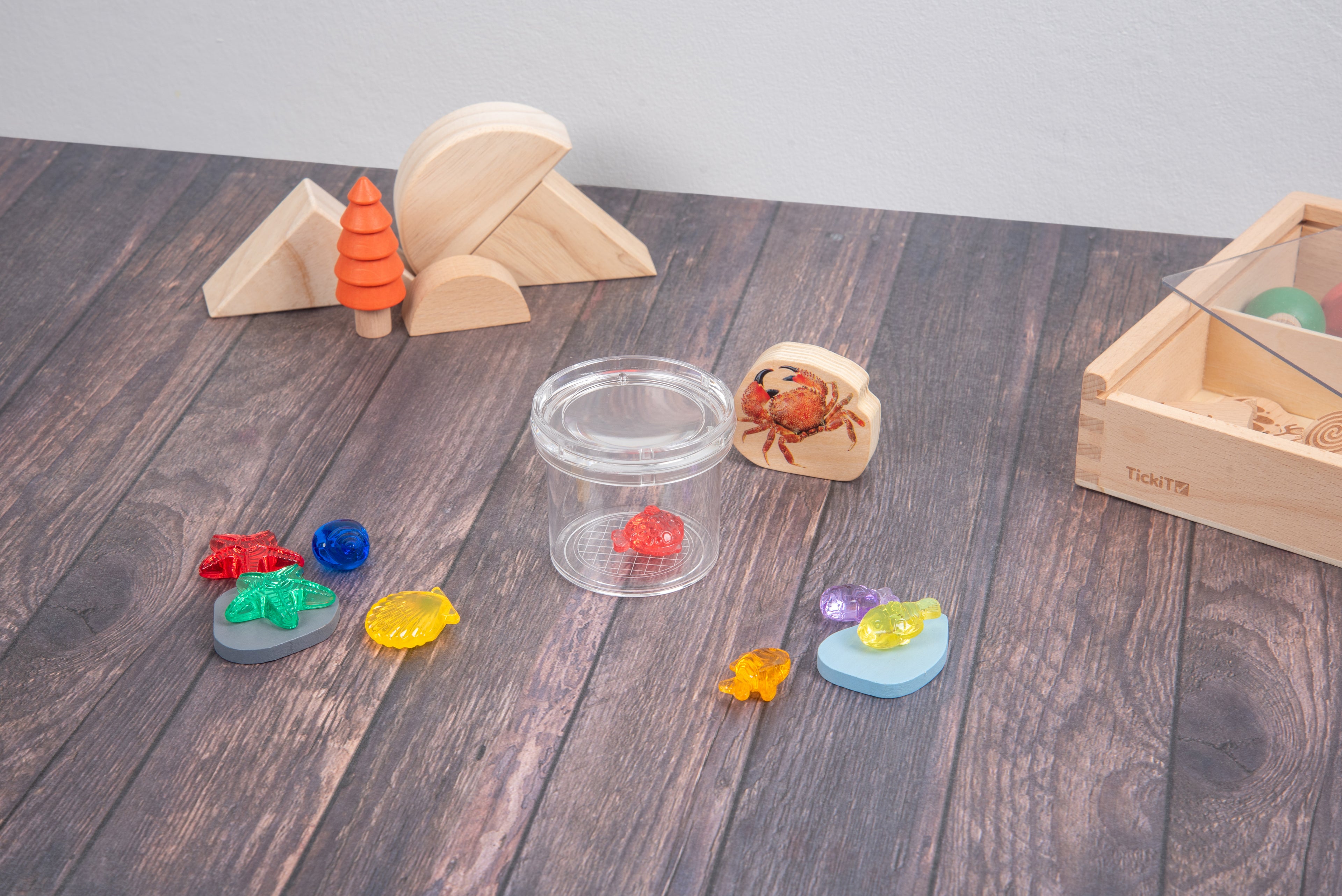 Bug viewing kit: clear container, colored plastic bugs, small wooden pieces