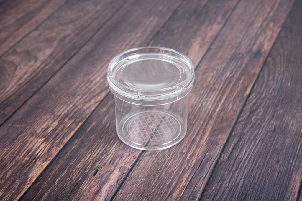 Clear round bug viewer with lid on wooden tabletop