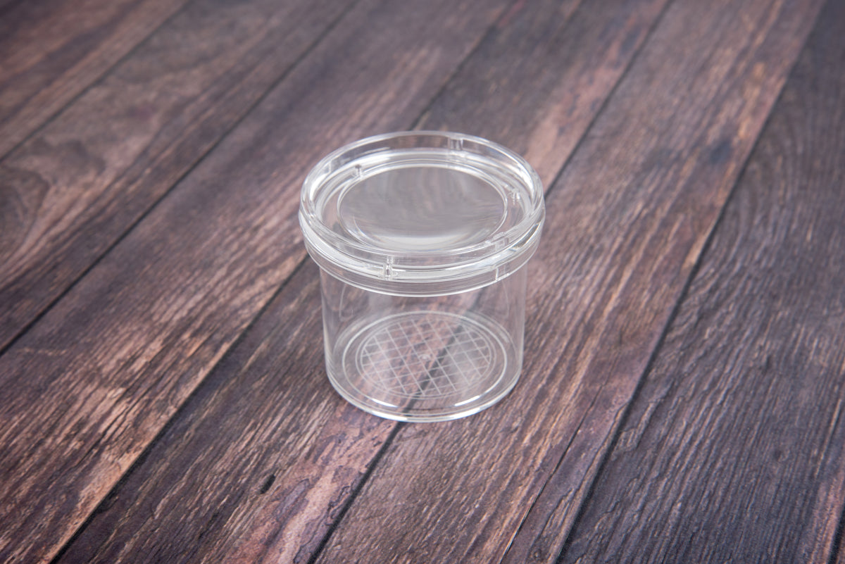 Clear round bug viewer with lid on wooden tabletop