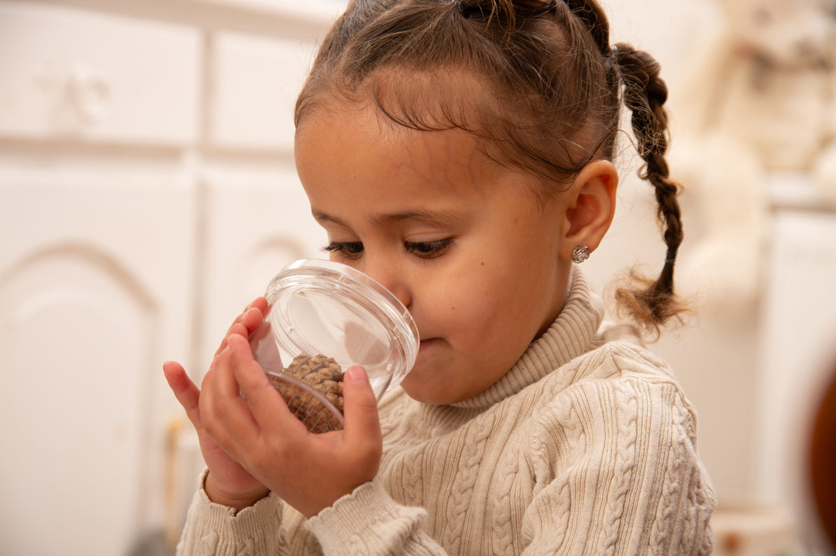 Child holding a clear bug viewer with dark insects inside
