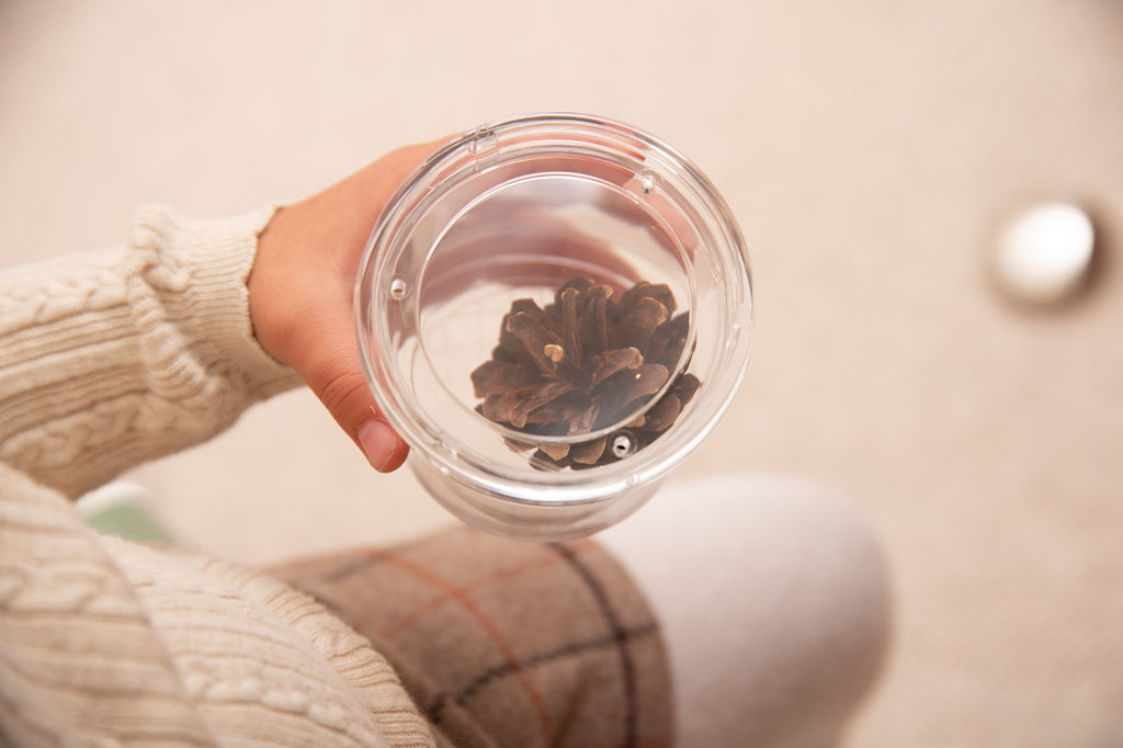 Clear bug viewer cup held in hand, dark insects visible inside