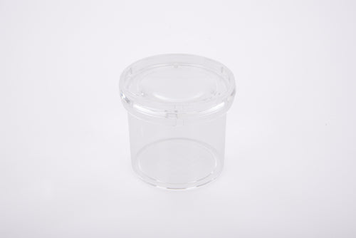 Clear round plastic bug viewer container with matching lid