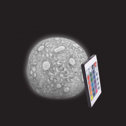 Color-changing moon rock LED light with textured globe and remote controller