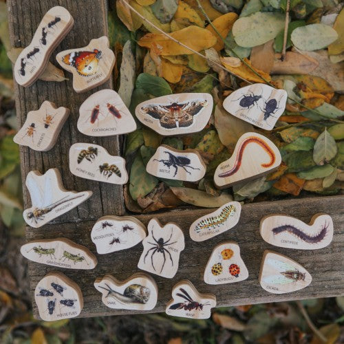 Assorted minibeast wooden cutout shapes with illustrated insects and bugs