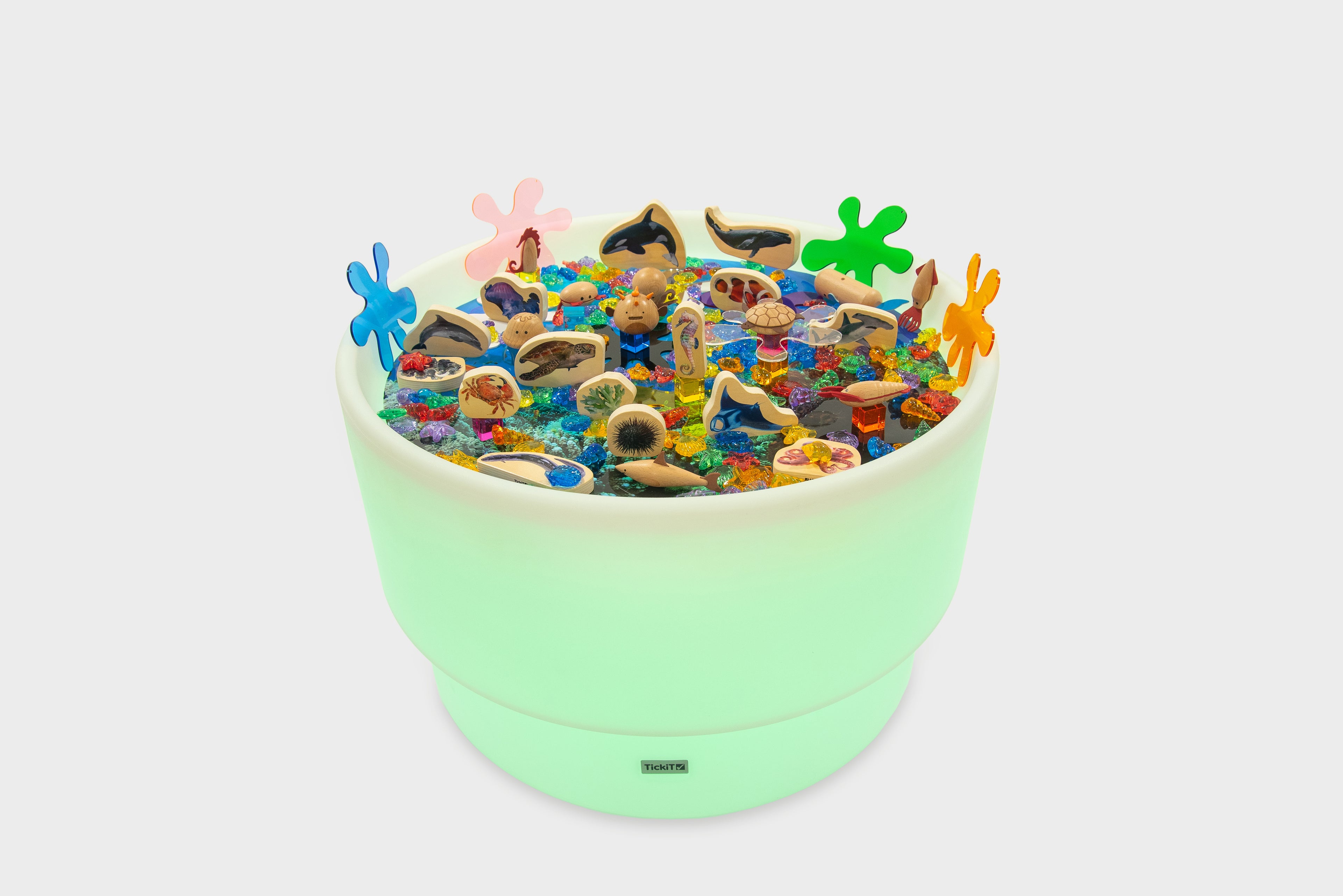 Pastel green sea-themed table bundle filled with ocean animal toys and shells