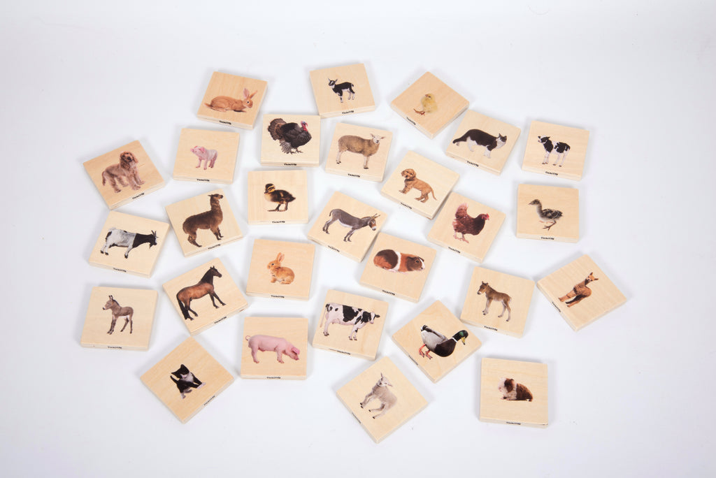Cluster of illustrated pet animal picture cards featuring multiple dogs and cats