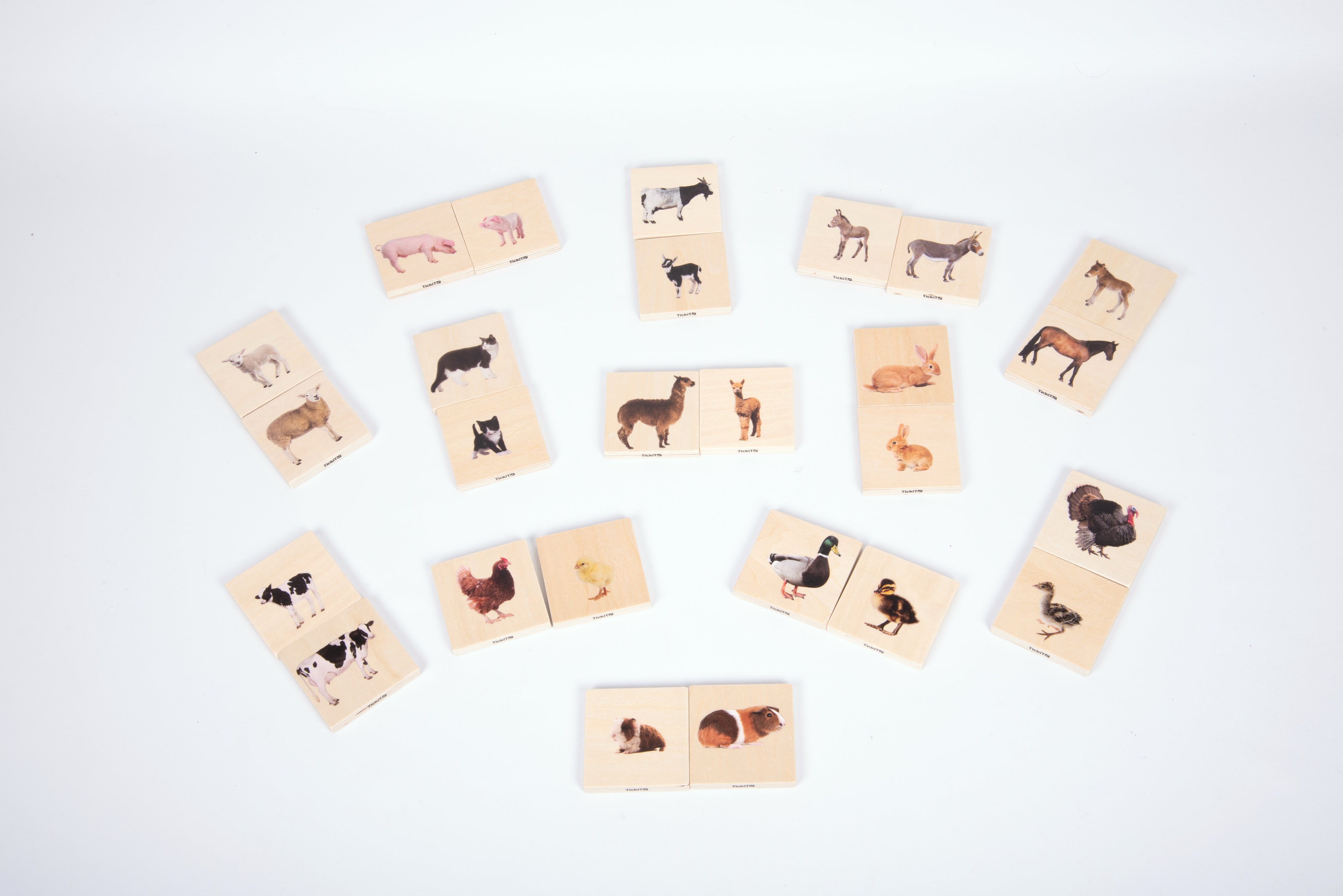 Assorted illustrated pet animal cards with various dog and cat images