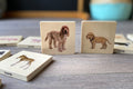 Set of illustrated pet animal cards with dog family figures
