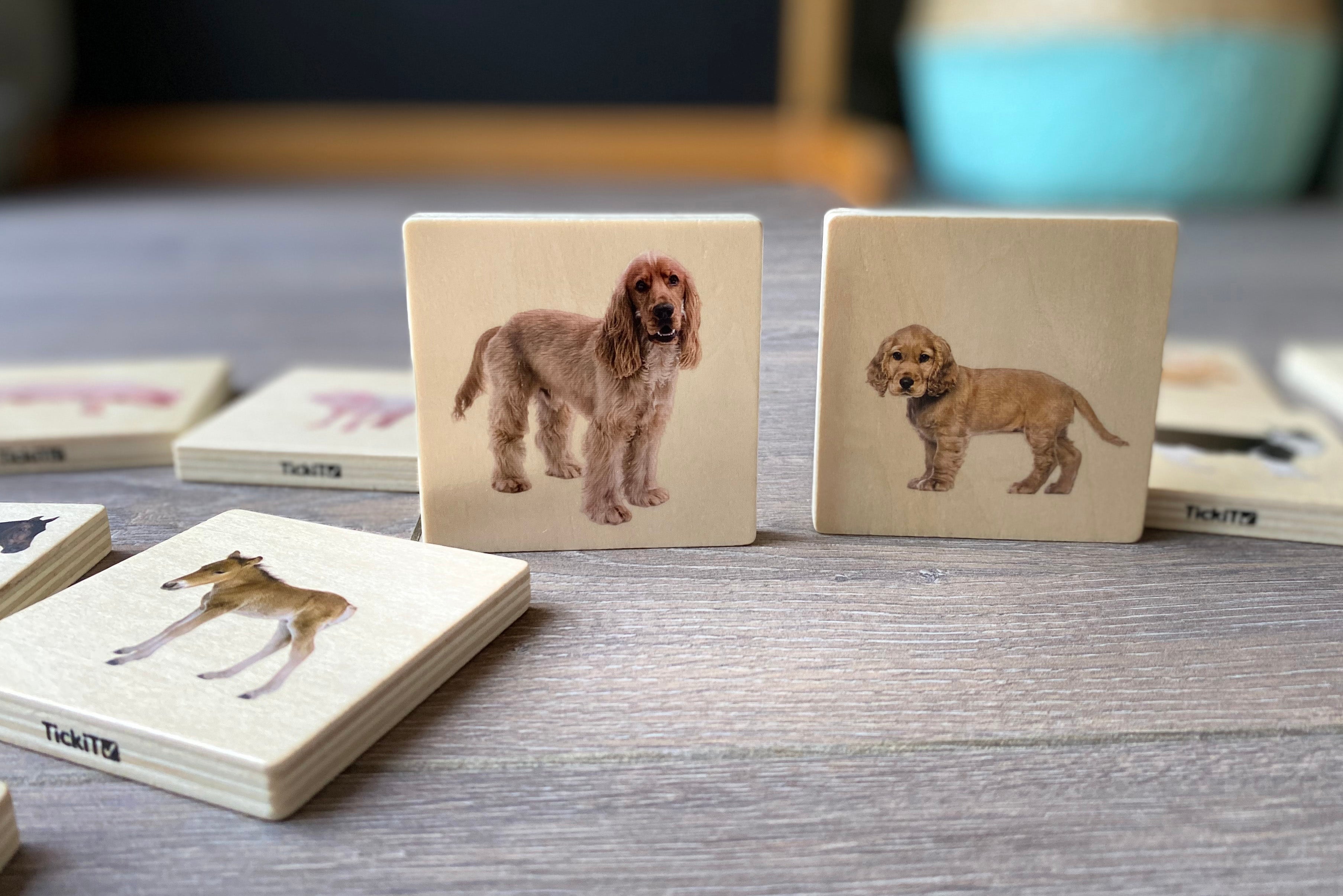 Set of illustrated pet animal cards with dog family figures