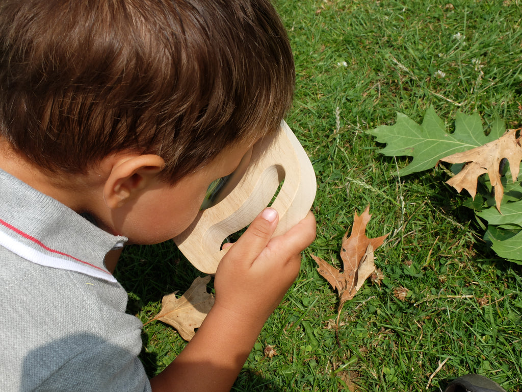 Child holding a wooden magnifier with round lens to inspect leaves