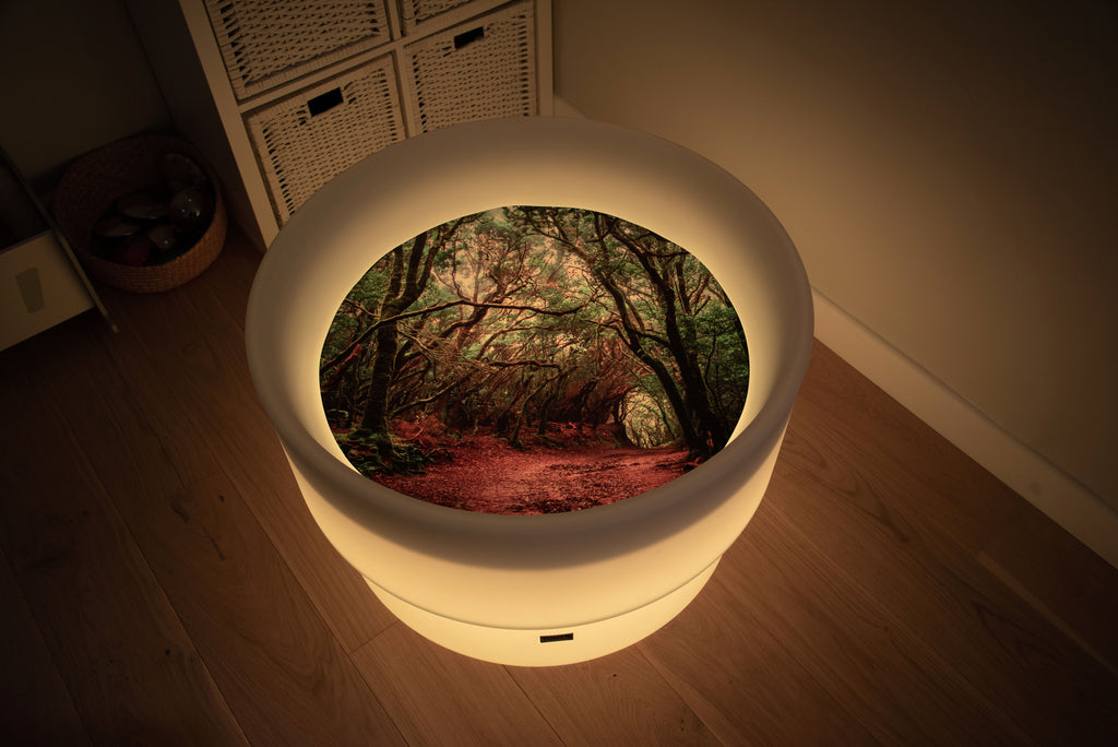 Round forest-themed play mat with glowing rim and forest path insert, warm lighting
