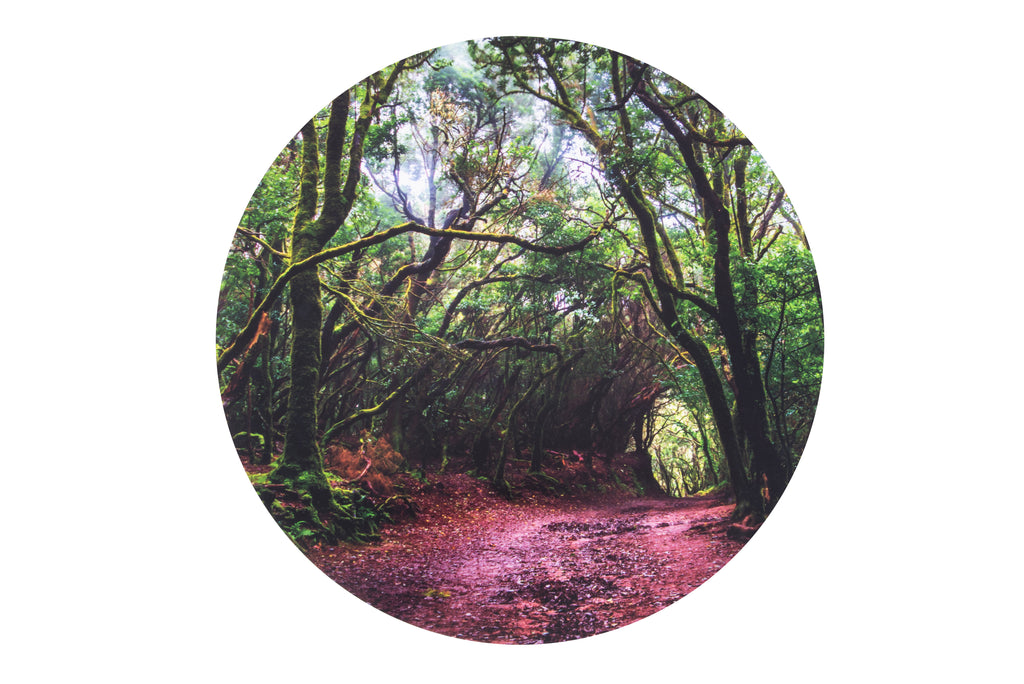 Round forest landscape play mat insert with trees and path, top view