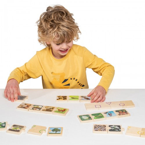 Life cycles jigsaw puzzle with colorful pieces spread on table, child assembling