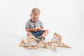 Wooden building block toy with house panels and curved arch pieces
