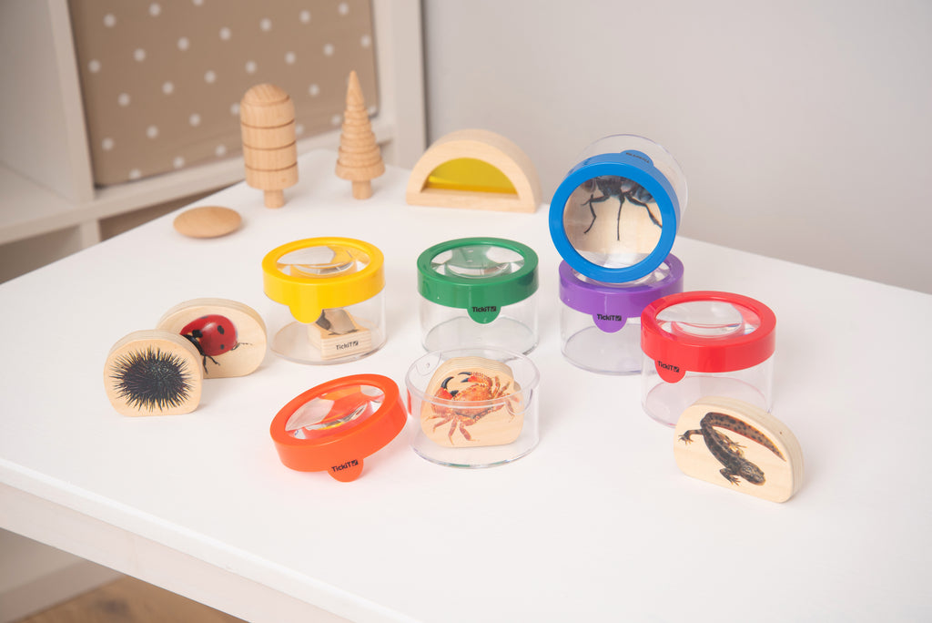 Clear viewer magnifiers with colored lids and insect cards displayed on a tabletop.