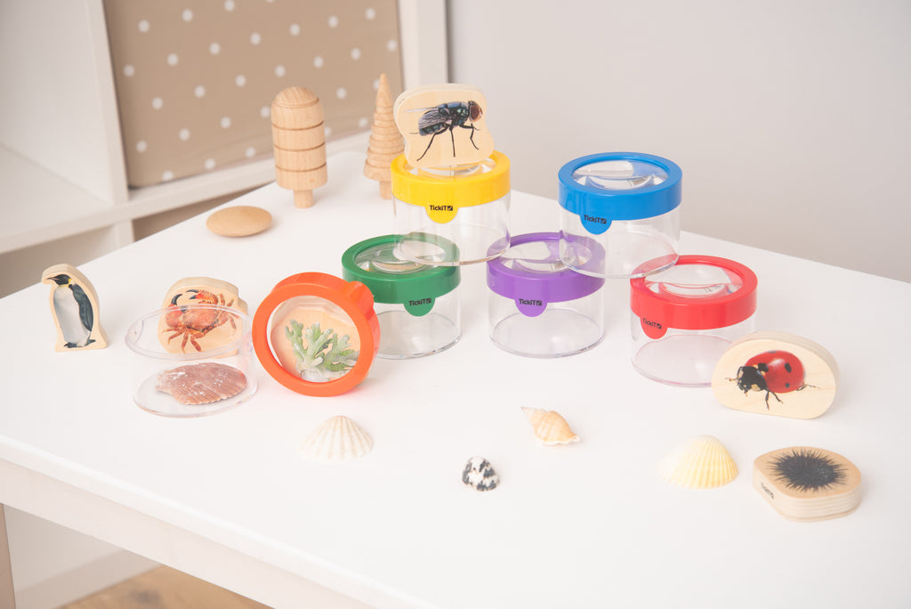 Clear viewer magnifiers with colored lids, insect cards, and seashells on a tabletop.