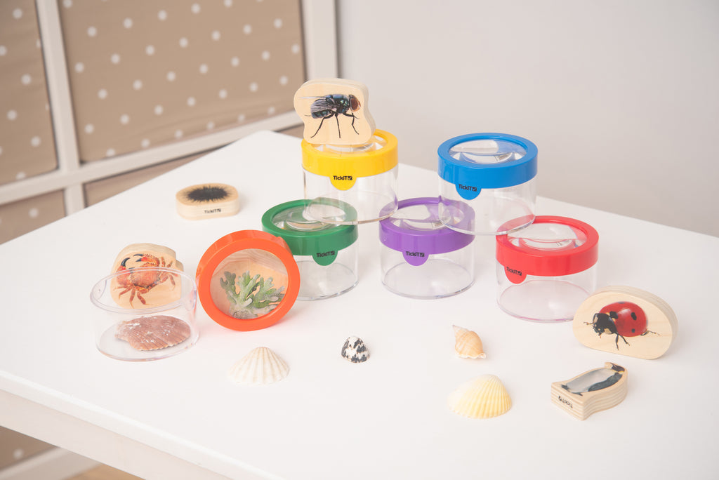 Clear viewer magnifiers with colored lids, insect cards, and seashells on a tabletop.
