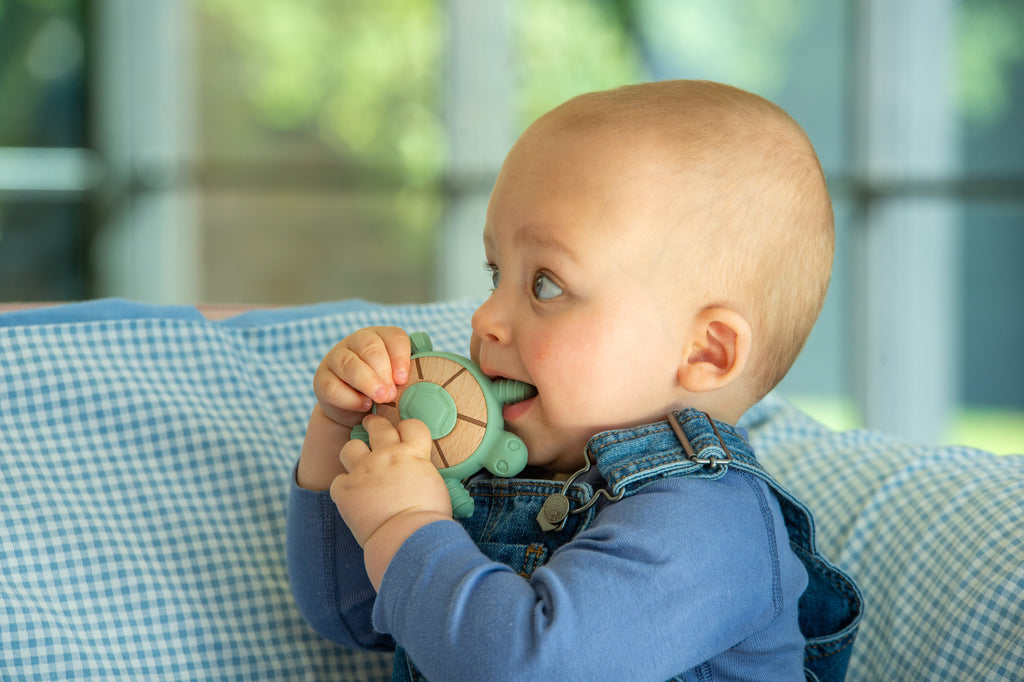 Baby holding mint turtle silicone teether near mouth