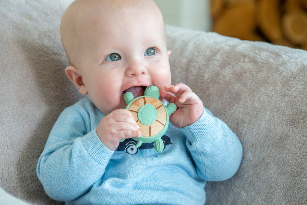 Baby chewing mint turtle silicone teether with turquoise shell center