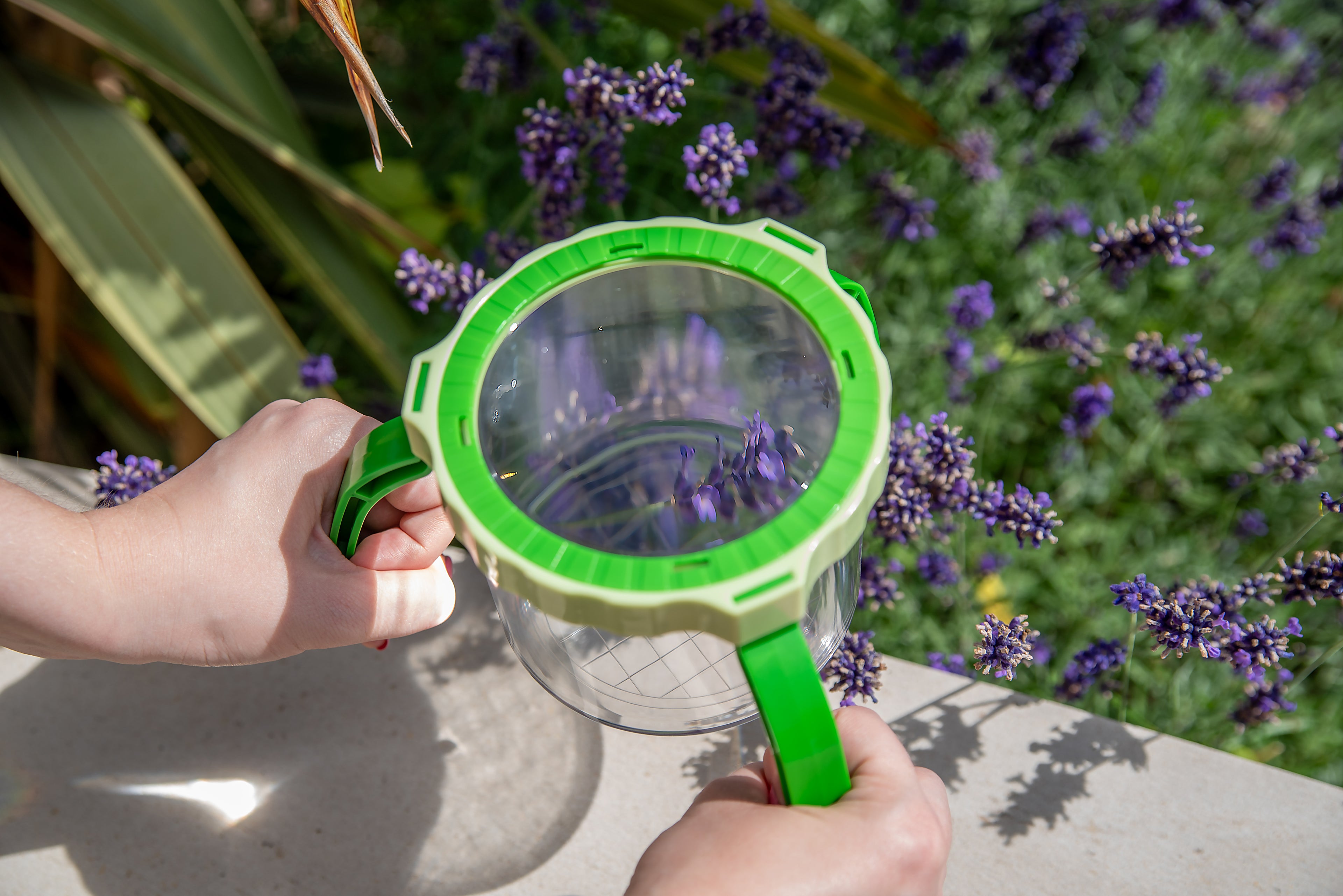 Hand-held tabletop magnifier with green handle and clear magnifying cup