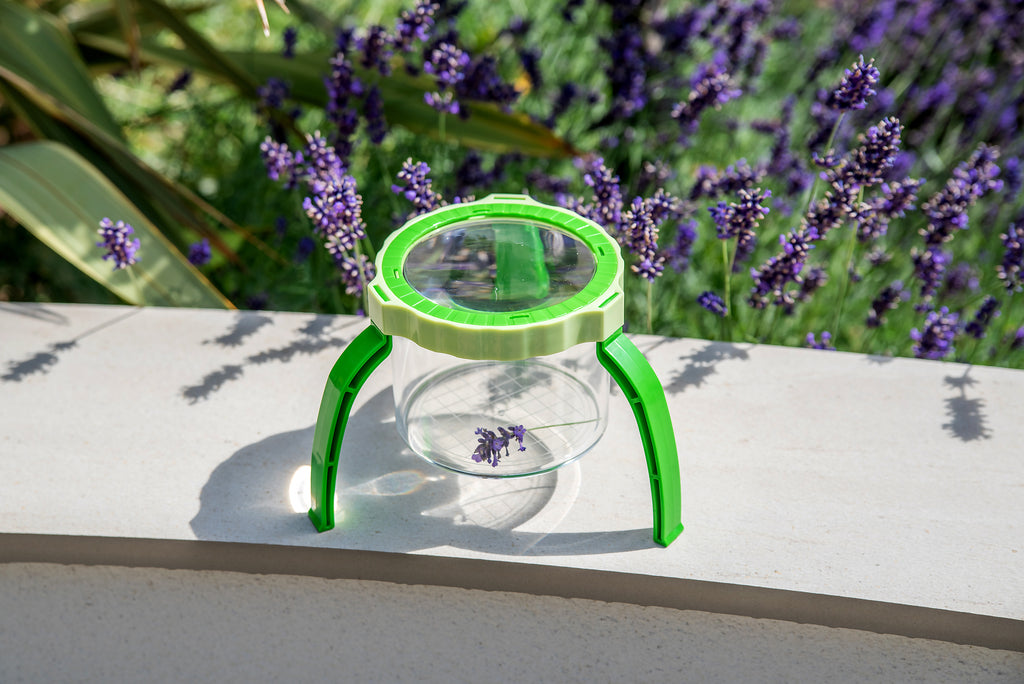 Green tabletop magnifier with clear cup base and wide circular lens ring