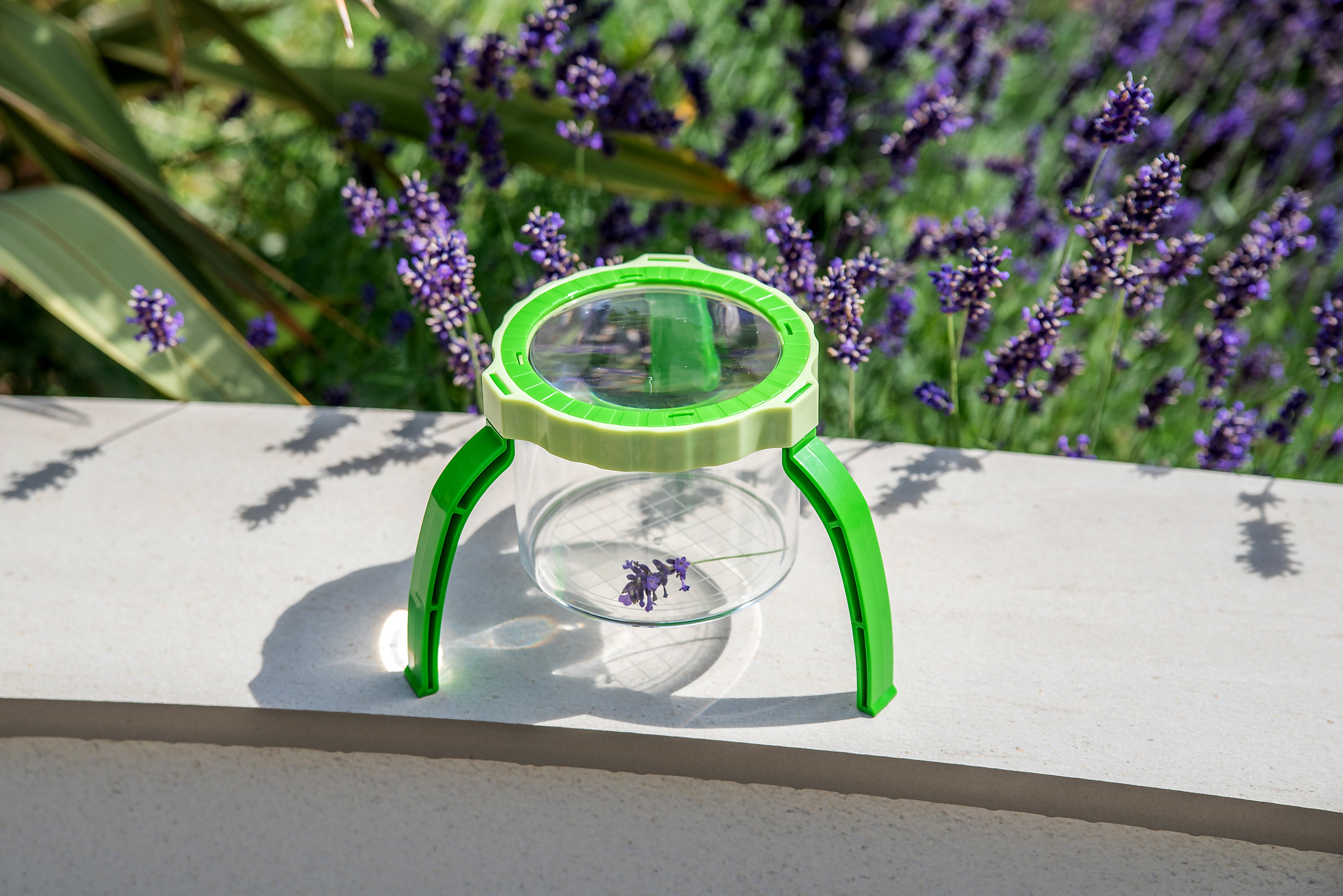 Green tabletop magnifier with clear cup base and wide circular lens ring