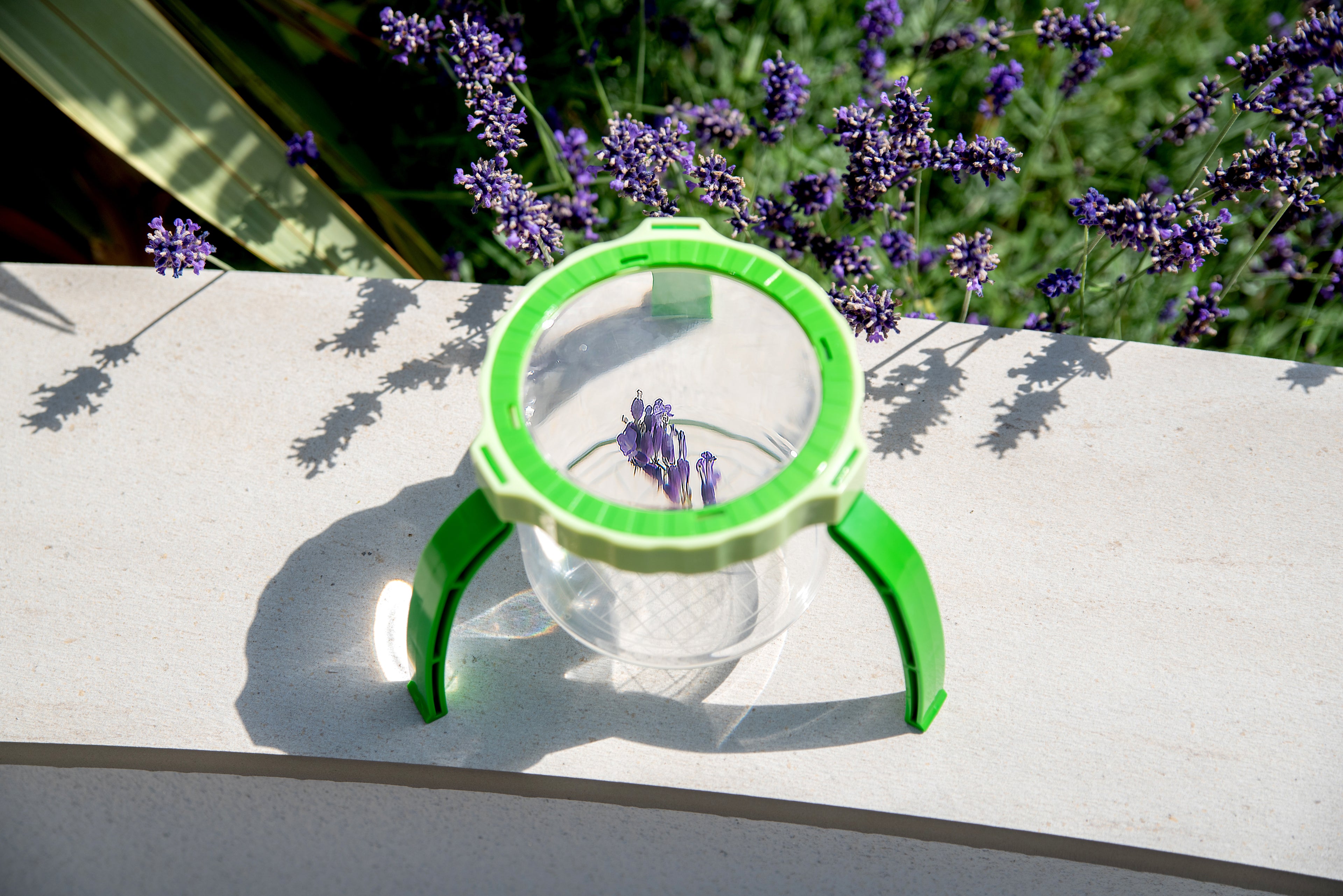 Tabletop magnifier with green frame, clear cup, and wide circular lens