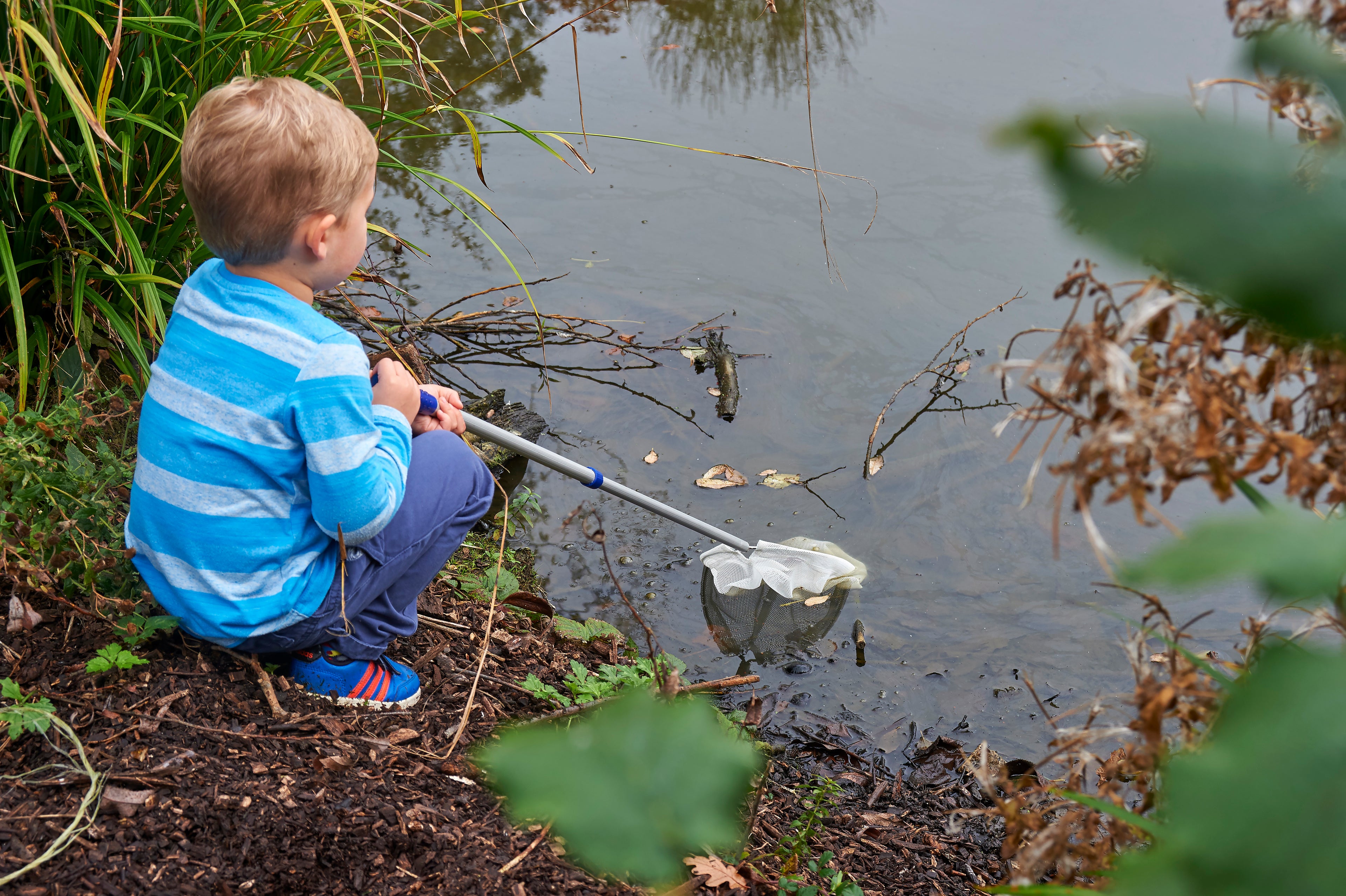 Telescopic pond net with white mesh scoop on a silver handle, used at the pond edge