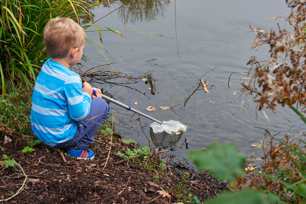 Telescopic pond net with silver handle and white mesh scoop, held over the water