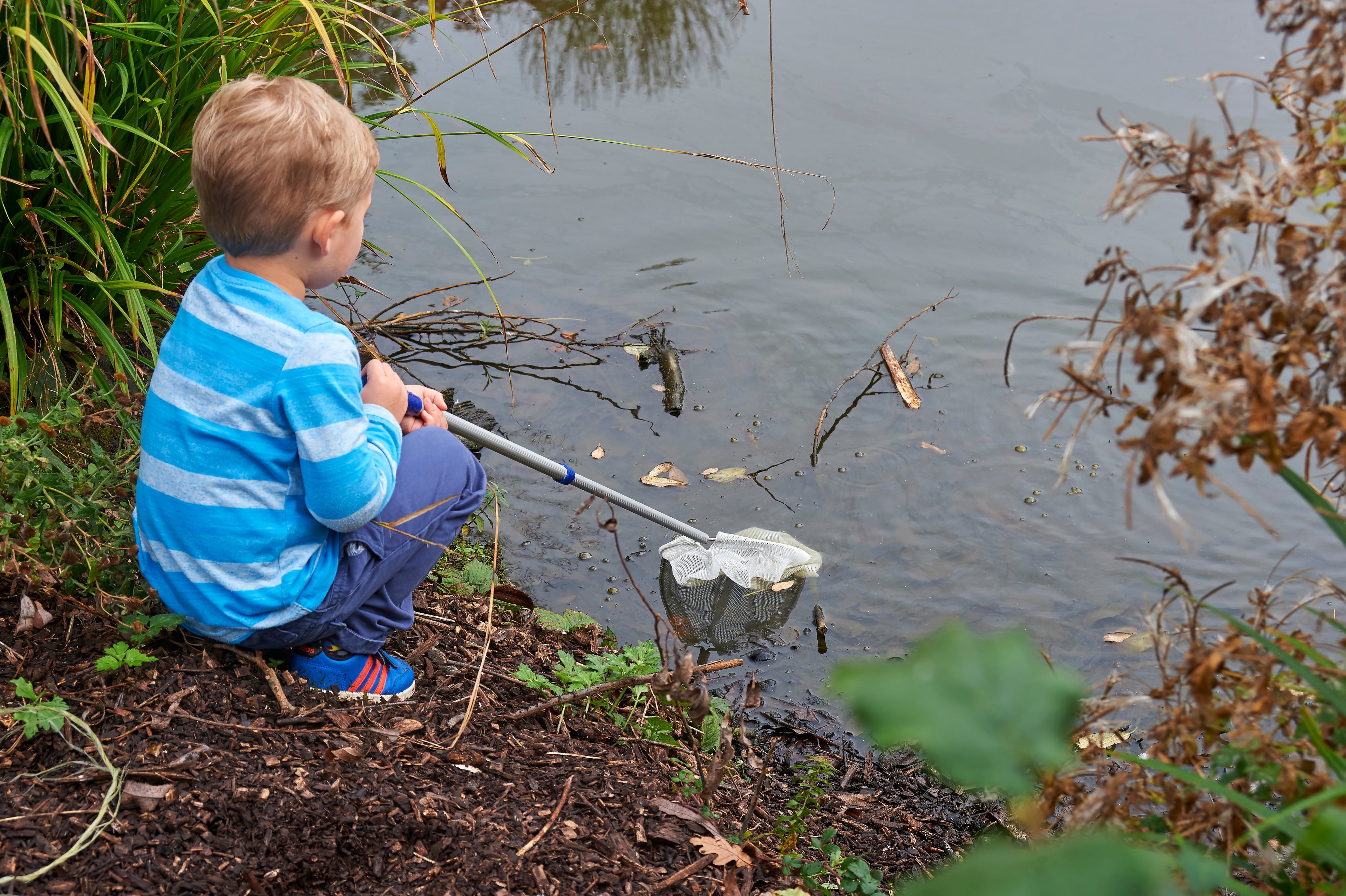 Telescopic pond net with silver handle and white mesh scoop, held over the water