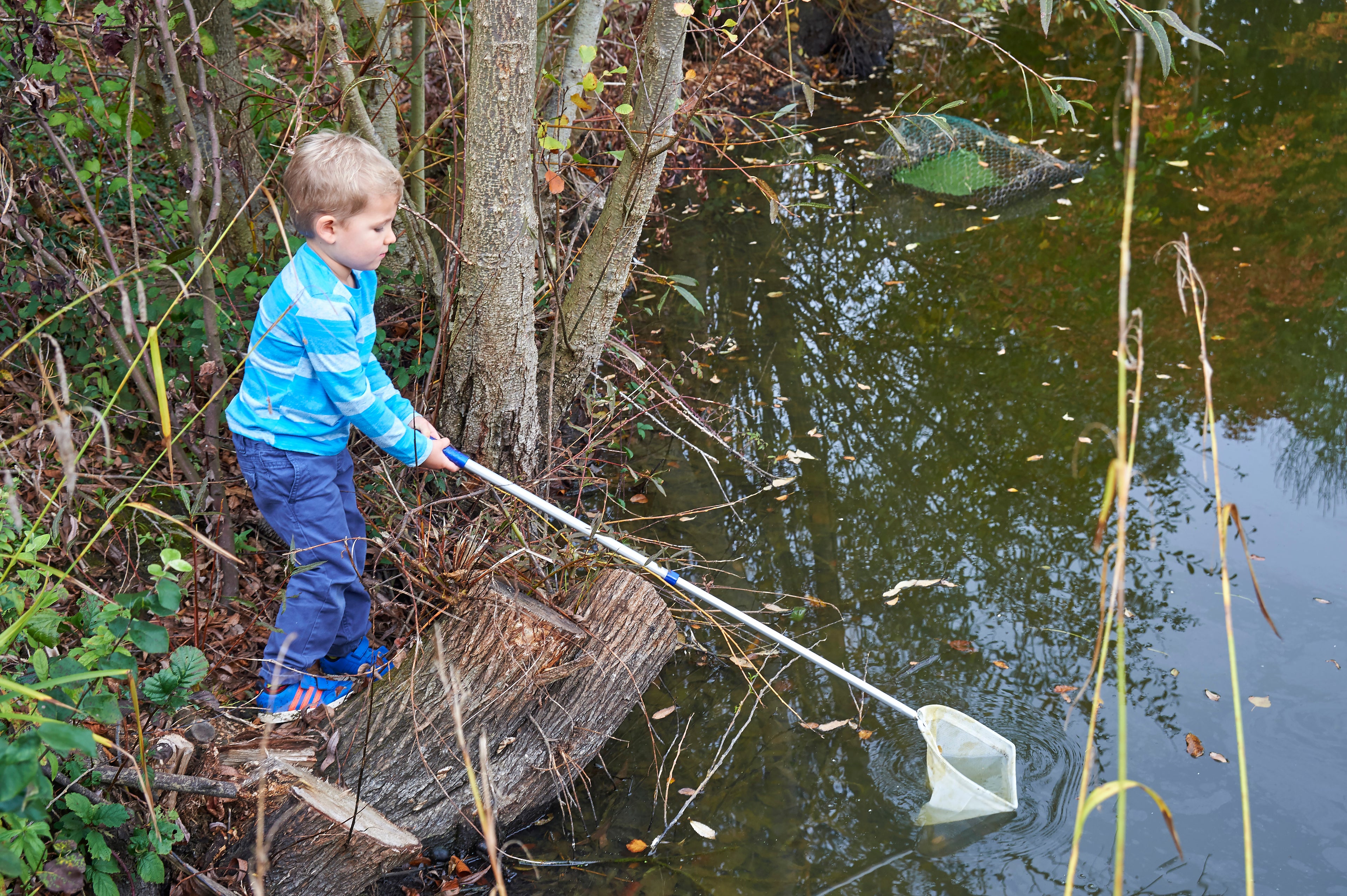 Telescopic pond net with white mesh scoop and silver pole, netting small items in water