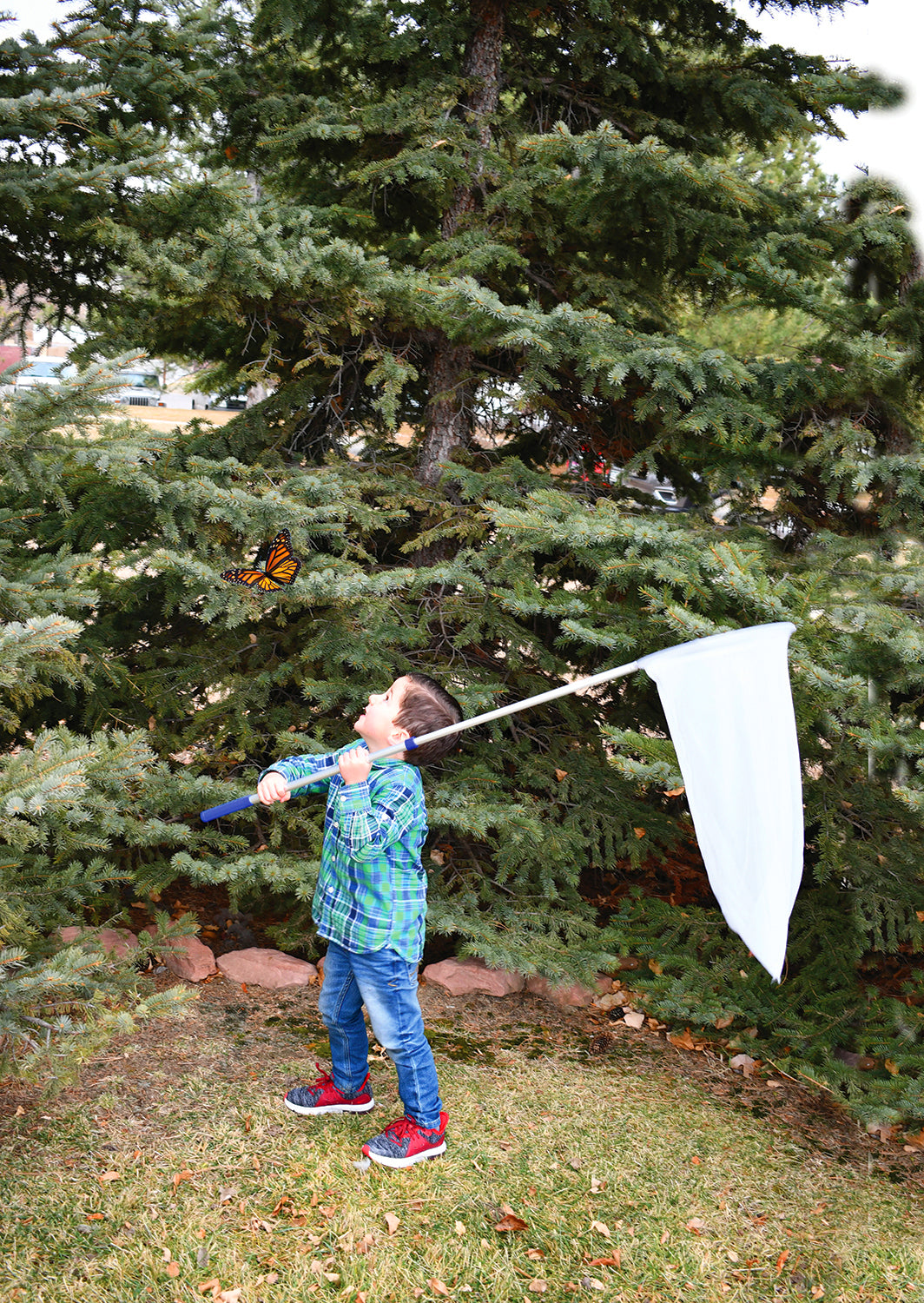 Telescopic sweep net with white mesh bag and extended pole for yard debris pickup
