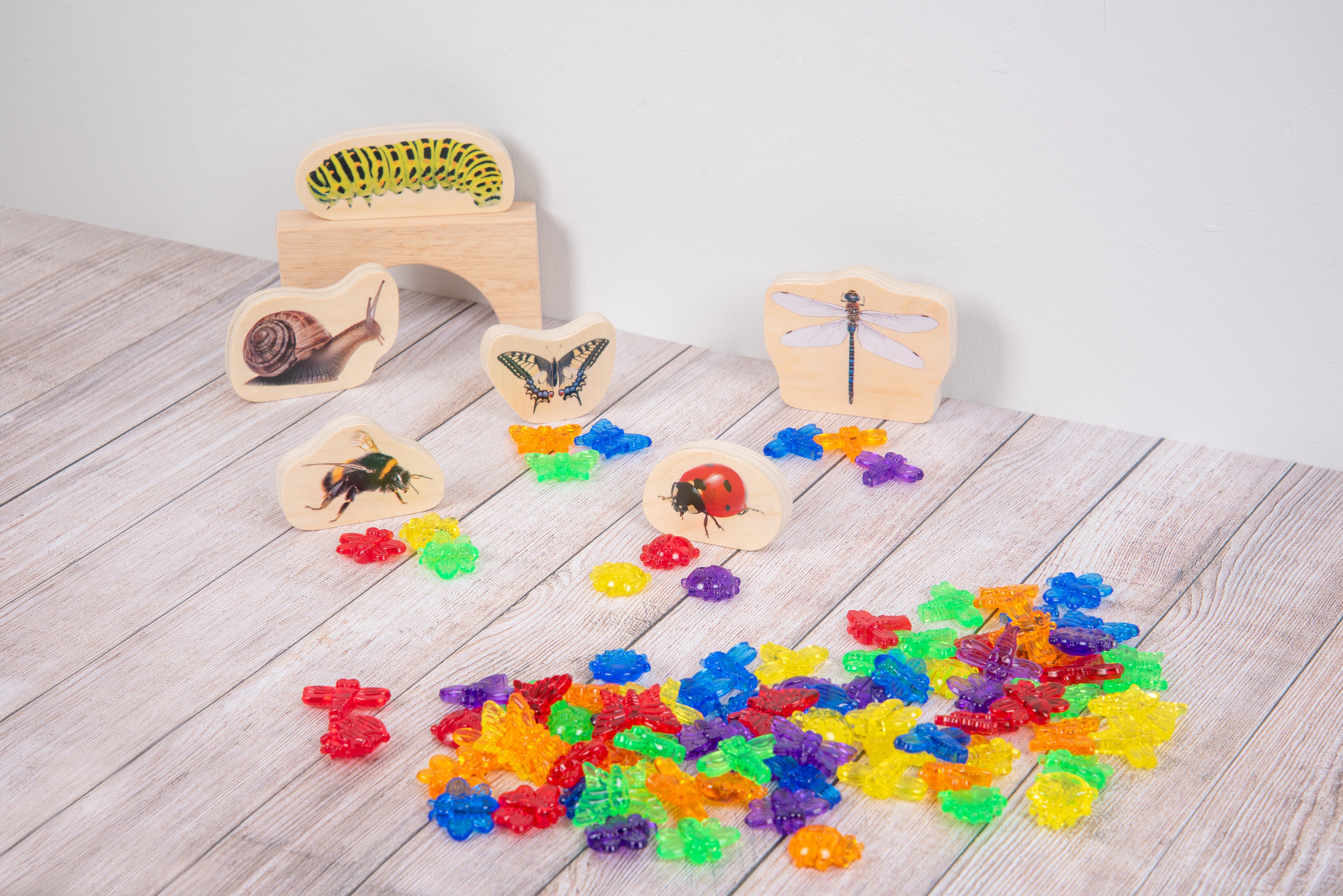 Translucent colorful bug pieces with wooden bug-shape boards and small sample pieces.