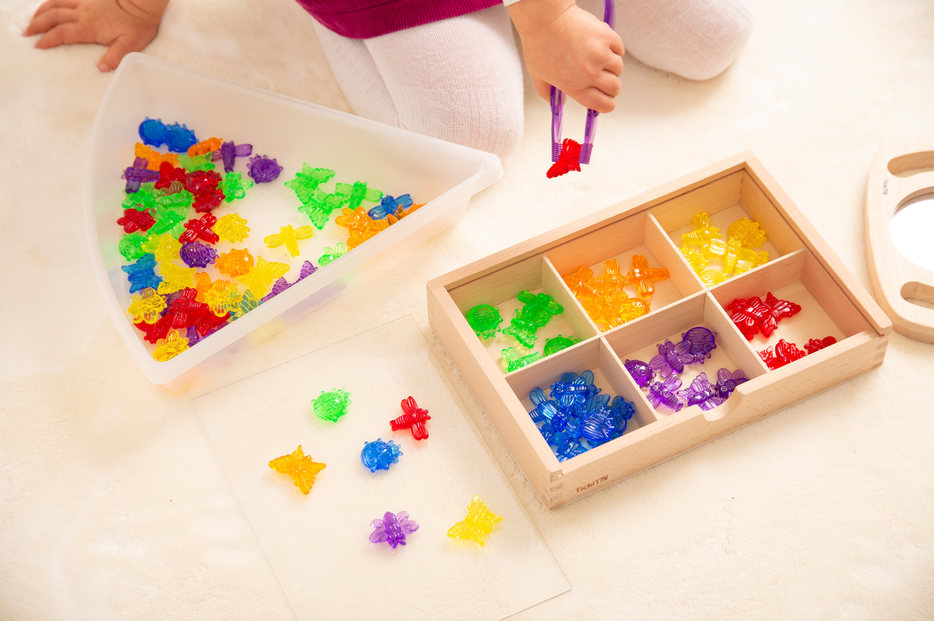 Translucent bug pieces in compartment tray with separate pieces on cards.