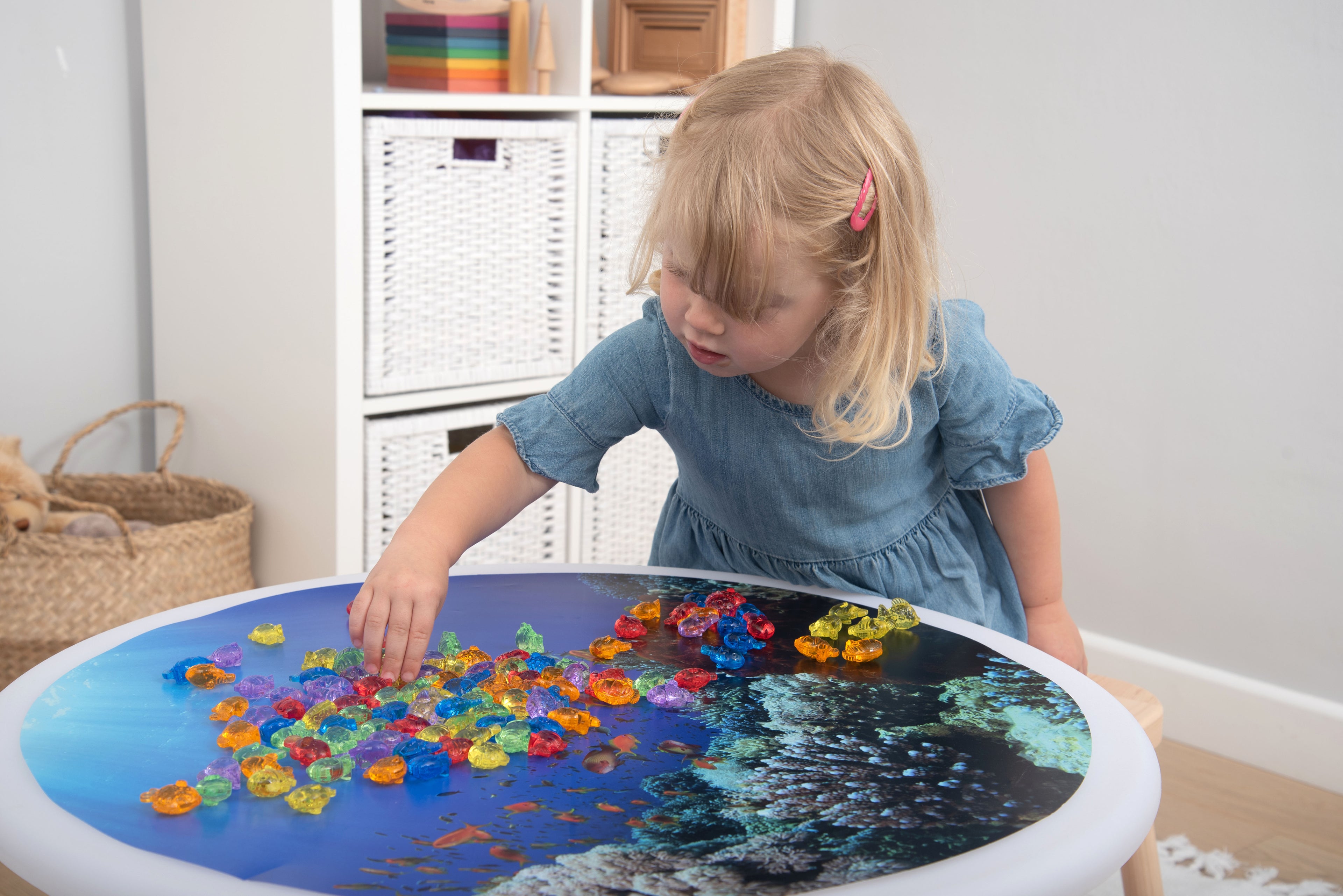 Translucent color fish set: multicolor fish pieces on a blue round tray