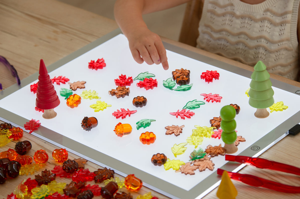 Colorful translucent leaf and seed set pieces with small cones on a play tray