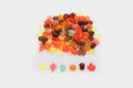 Translucent leaf and seed craft pieces in orange and yellow on a light base