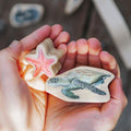 Sea-themed wooden craft pieces: starfish and sea turtle held in hands
