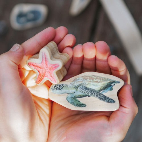 Sea-themed wooden craft pieces: starfish and sea turtle held in hands