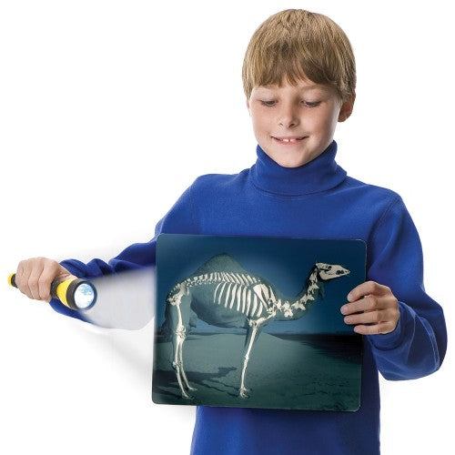 Children’s animal-themed book with skeleton artwork on the cover, held by a child