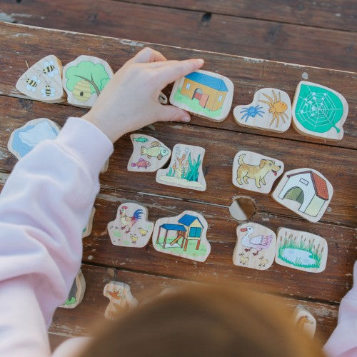 Animal habitat picture cards set with illustrated scenes in a hand