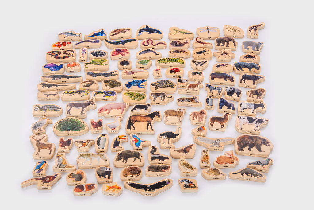 Wooden animal block set with small animal figure blocks arranged in rows