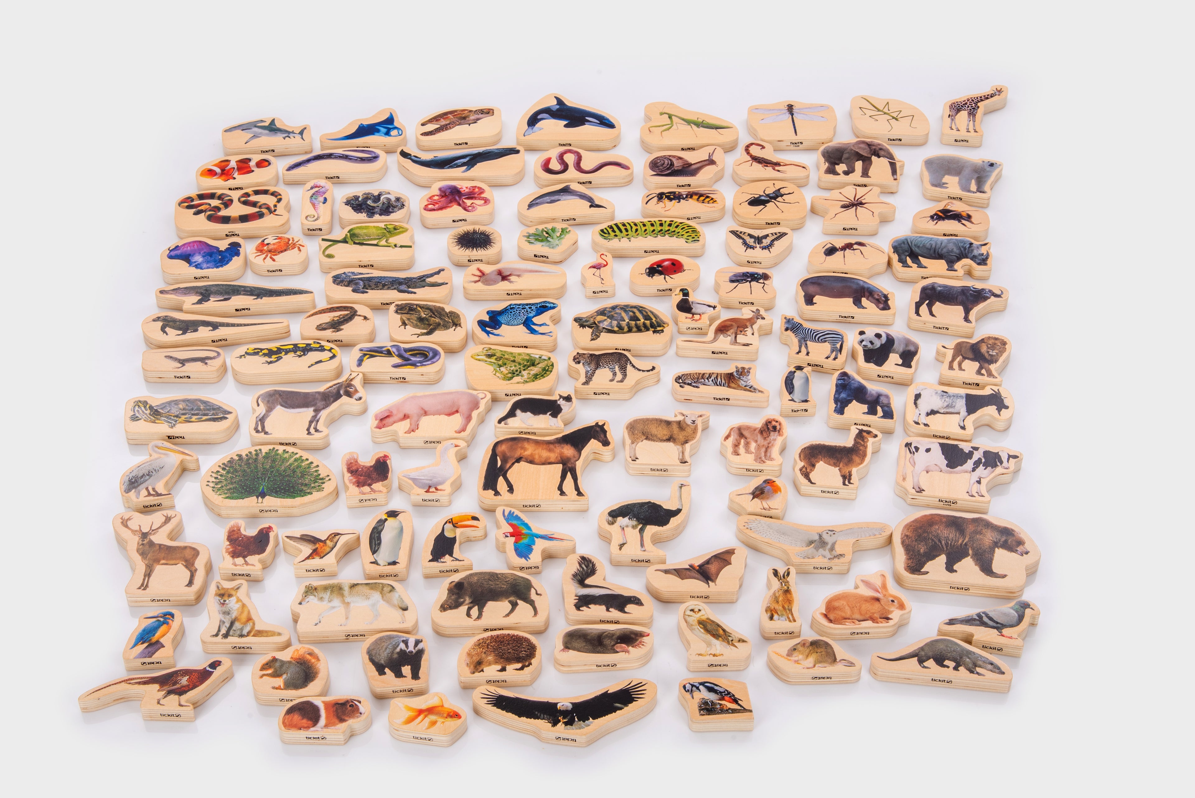 Wooden animal block set with small animal figure blocks arranged in rows