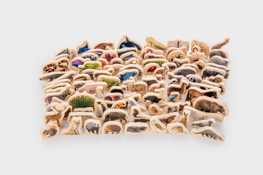 Wooden animal block set of assorted animal shapes laid out on a white surface